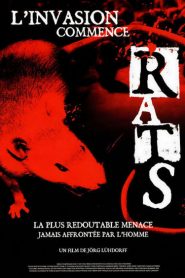 Rats, l’invasion commence